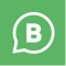 Whatsapp icon